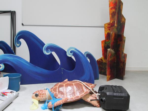 COM ES RESCATA UNA TORTUGA MARINA