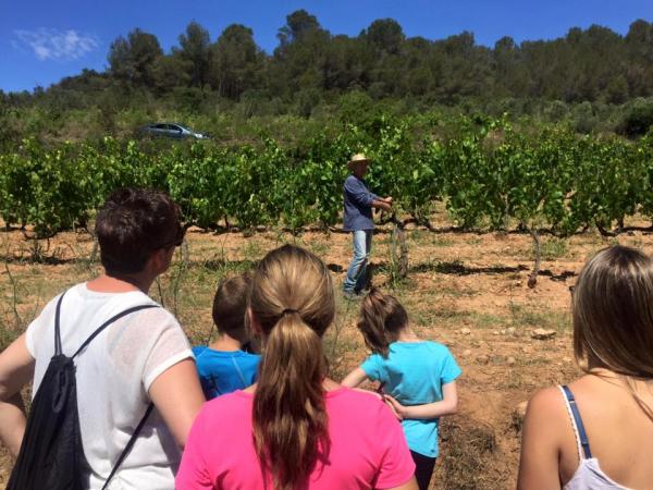 Celler Can Morral del Molí