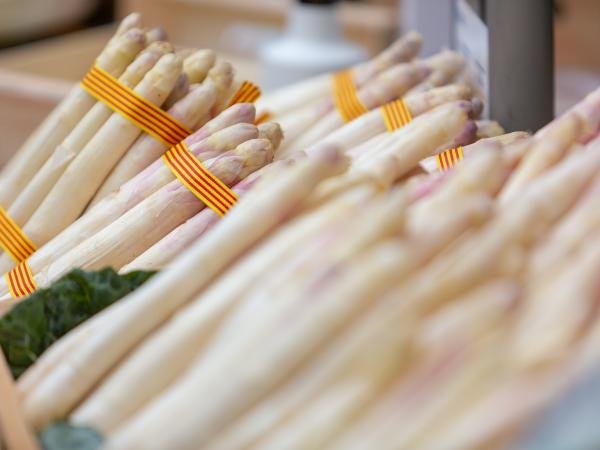 Fira Espàrrecs i GastroGavà