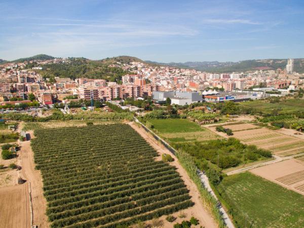 Mostra comercial i agrícola de Sant Vicenç dels Horts