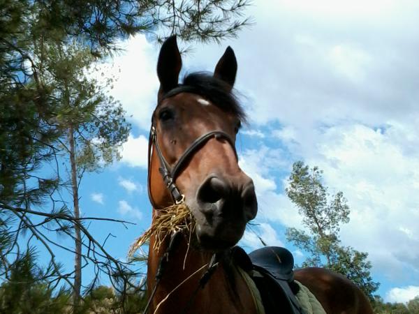 2013-07-30 11.09.18.jpg