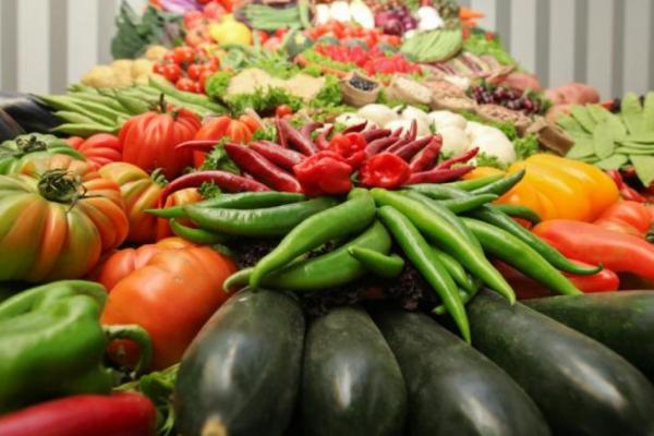 Fires i festes gastronòmiques Baix Llobregat