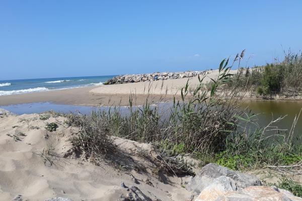 Mediterranean turisme sostenible desembocadura modificada.jpg