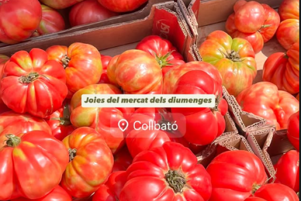 La gastronomia del Baix Llobregat captiva a Instagram amb Gastro Escapades BCN+