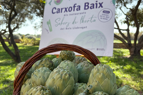 Neix Carxofa Baix, una nova experiència gastronòmica al Baix Llobregat