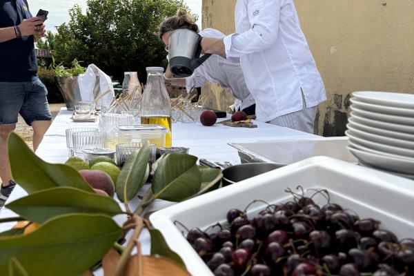 Sabors de l’Horta reuneix cuiners i productors per posar en valor la fruita de temporada