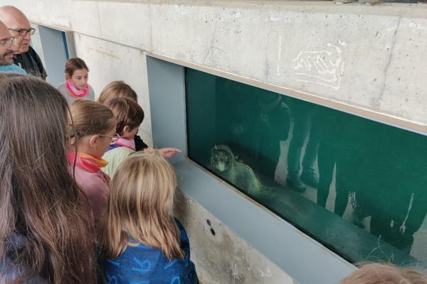 Realitzada la jornada de neteja de platja del Prat organitzada pel SostiBaix