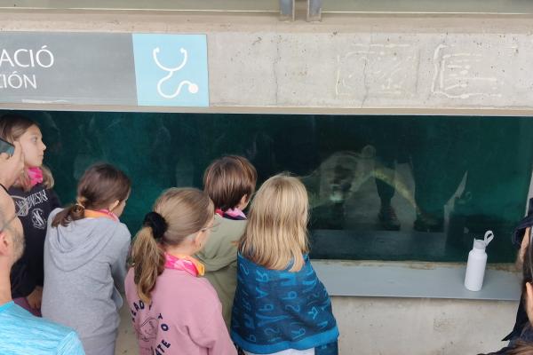 Realitzada la jornada de neteja de platja del Prat organitzada pel SostiBaix