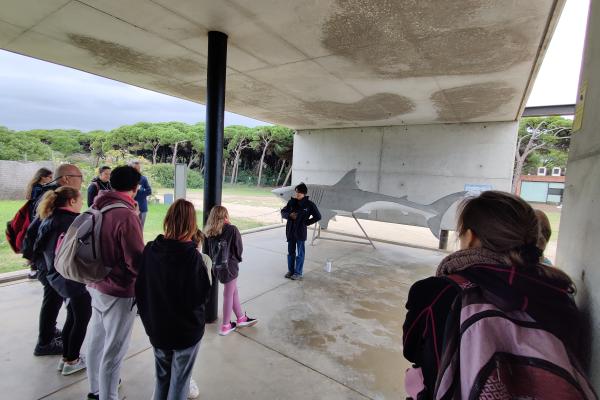 Realitzada la jornada de neteja de platja del Prat organitzada pel SostiBaix