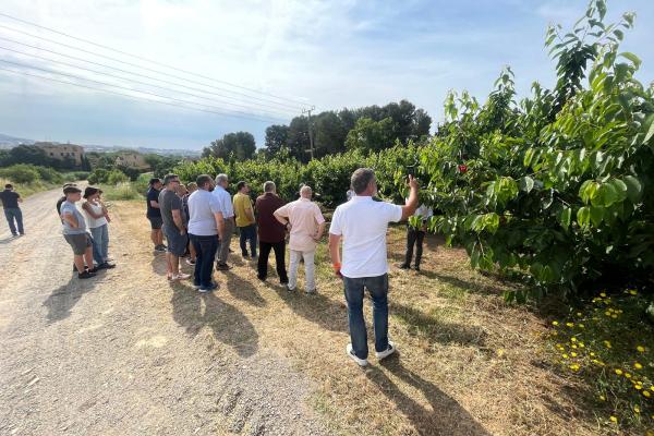 Sabors de l’Horta reuneix cuiners i productors per posar en valor la fruita de temporada
