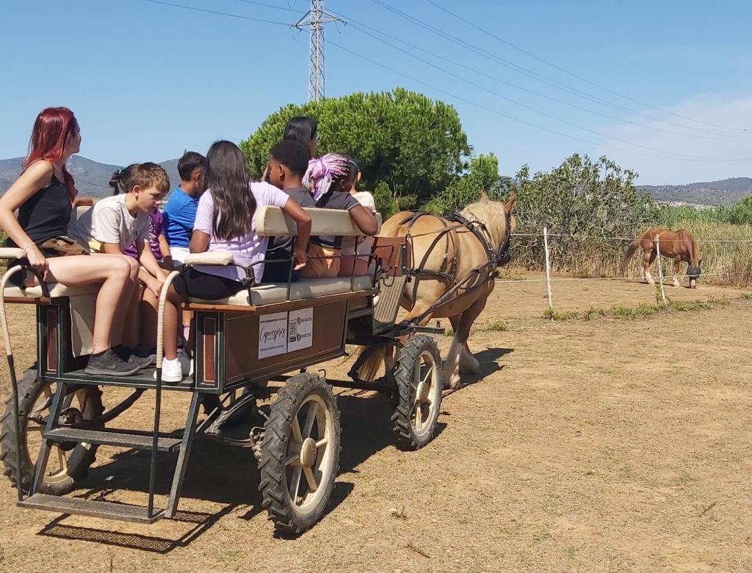 La granja i el món del cavall