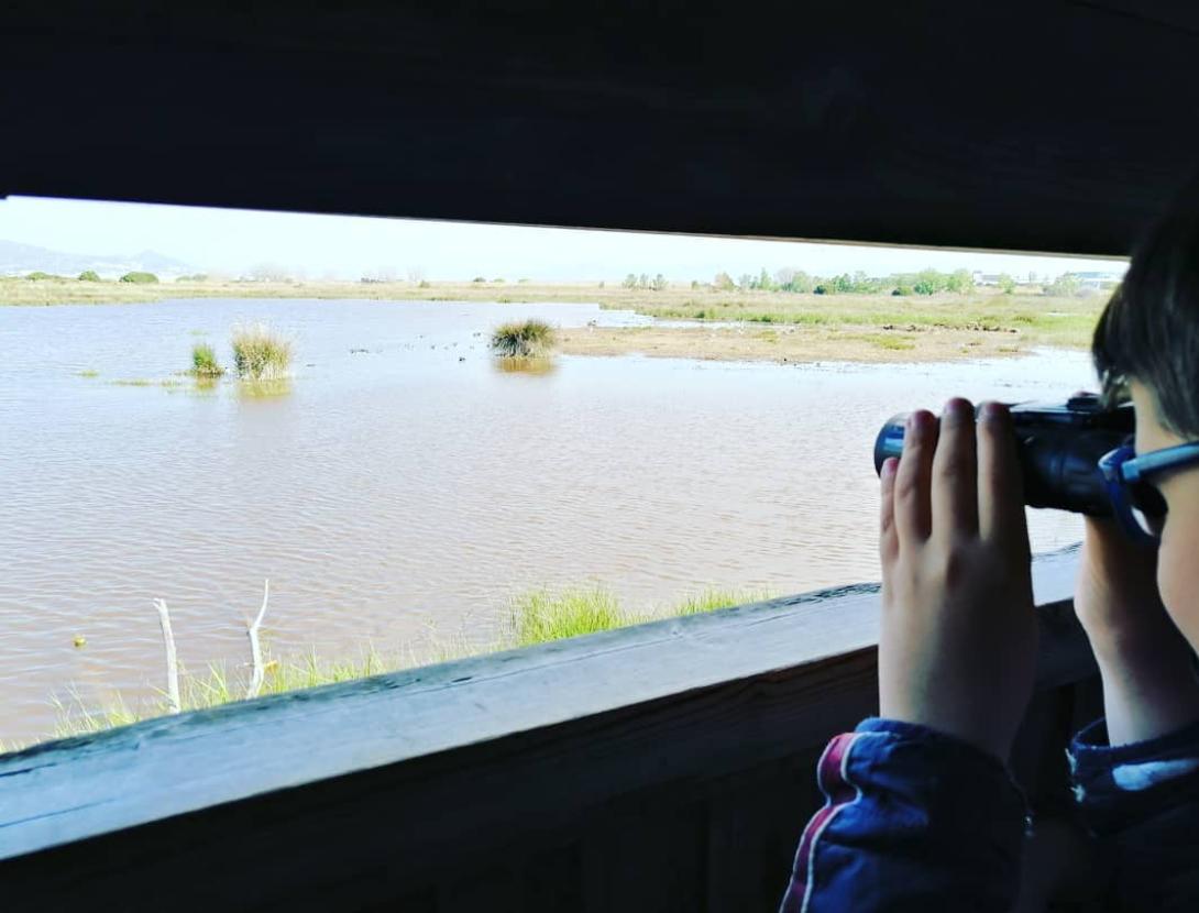 Fem d'exploradors al delta del Llobregat