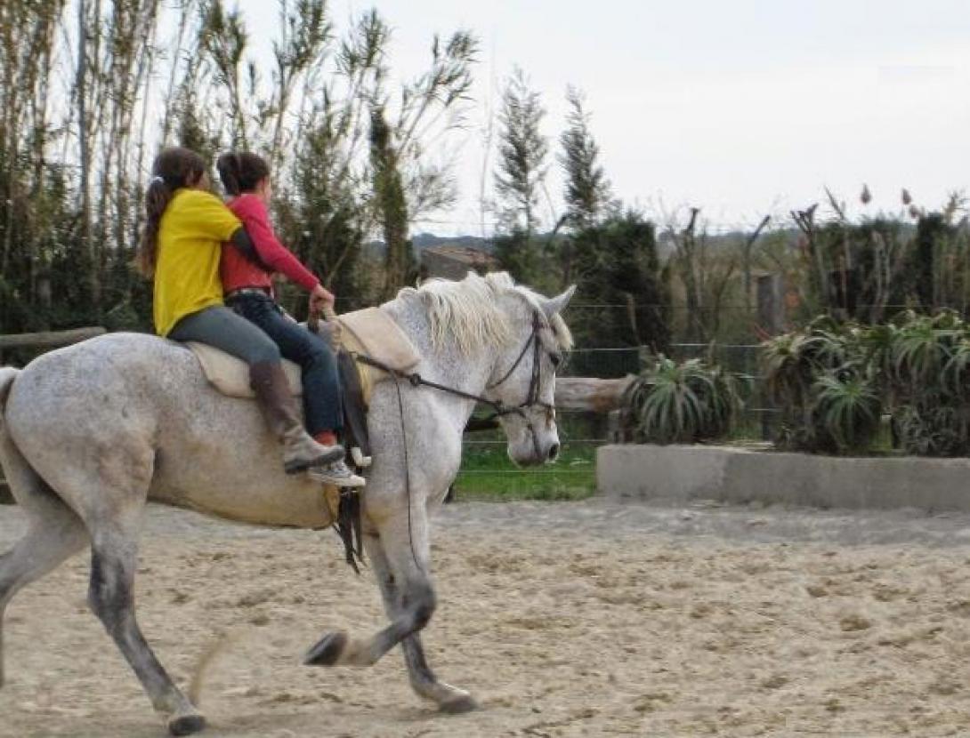 Hipica Viladecans.jpg