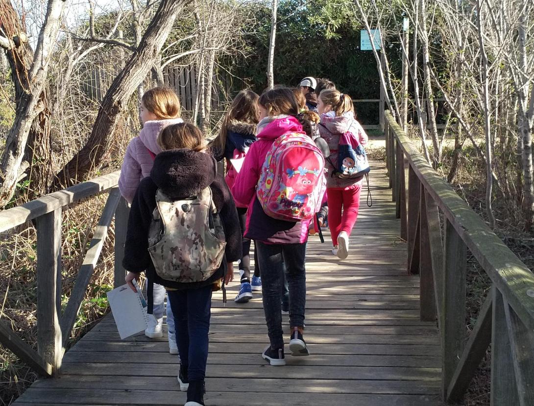 On es troba el Rèmol?