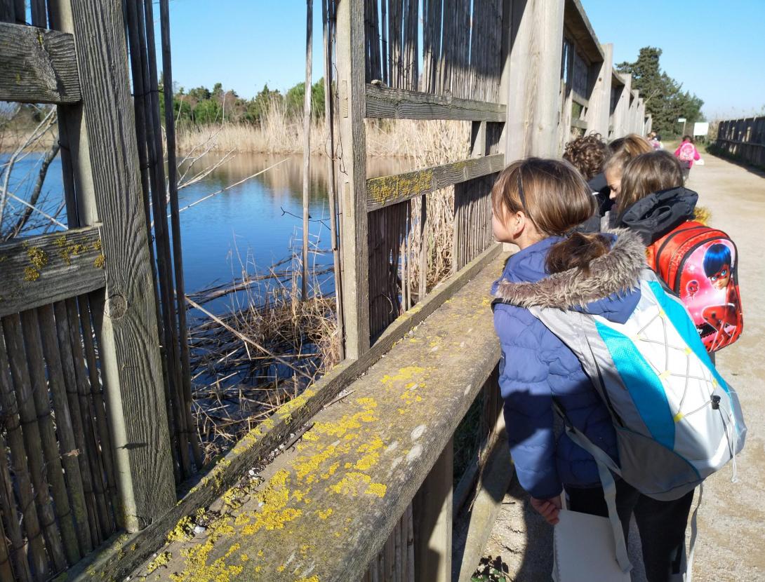 On es troba el Rèmol?
