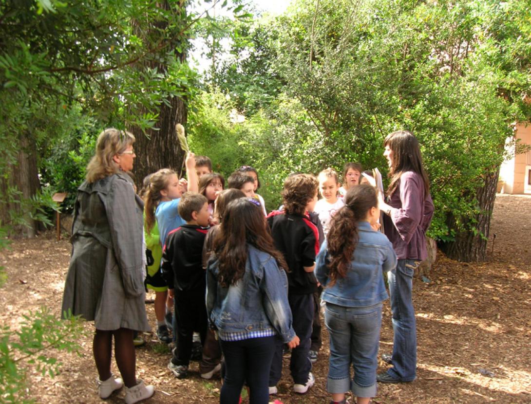 Jard+¡ Bot+ánic.jpg