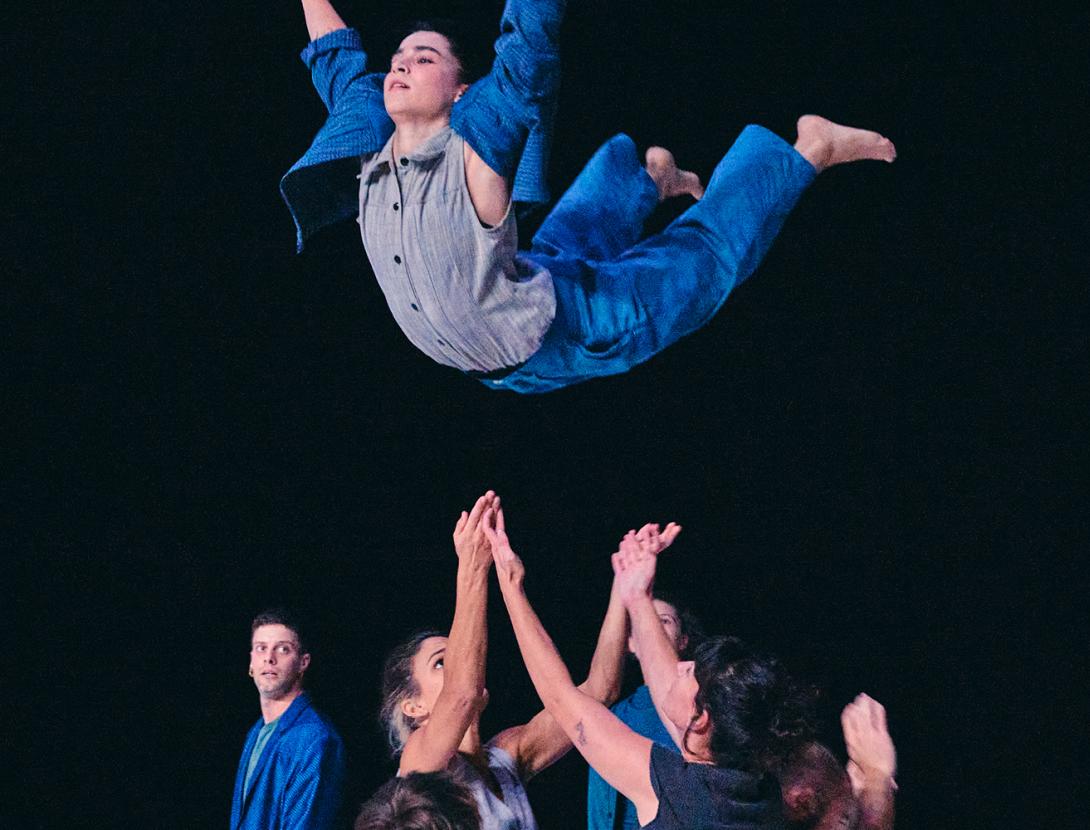 Dansa - Cèl·lula #6 Faula