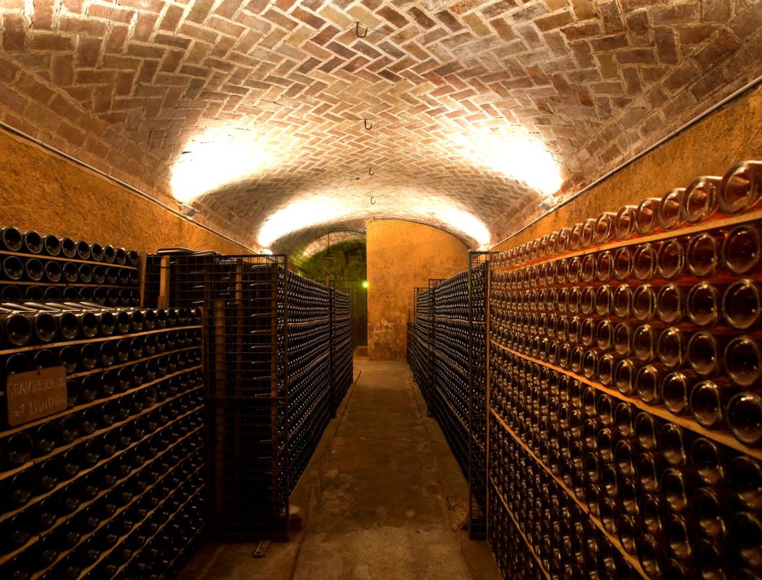 VISITA AL CELLER I MUSEU DEL VI RAMON CANALS AMB DEGUSTACIÓ