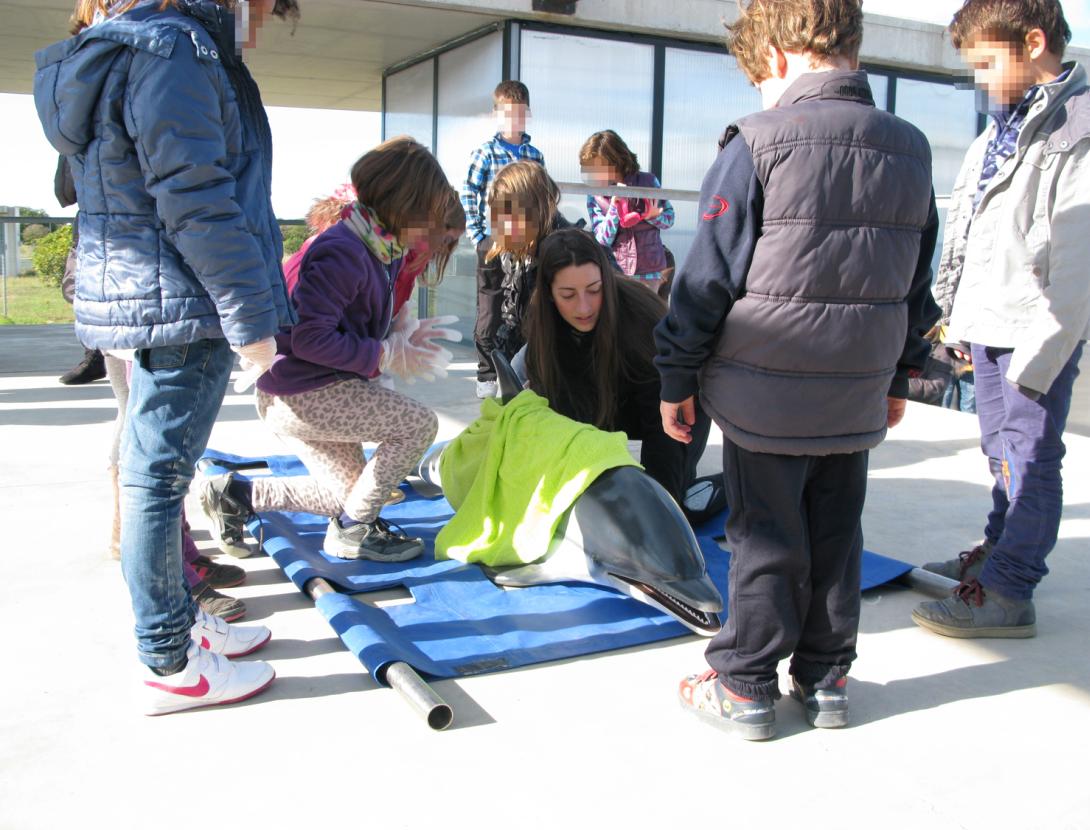 SIMULACRE DE RESCAT D'UN DOFÍ