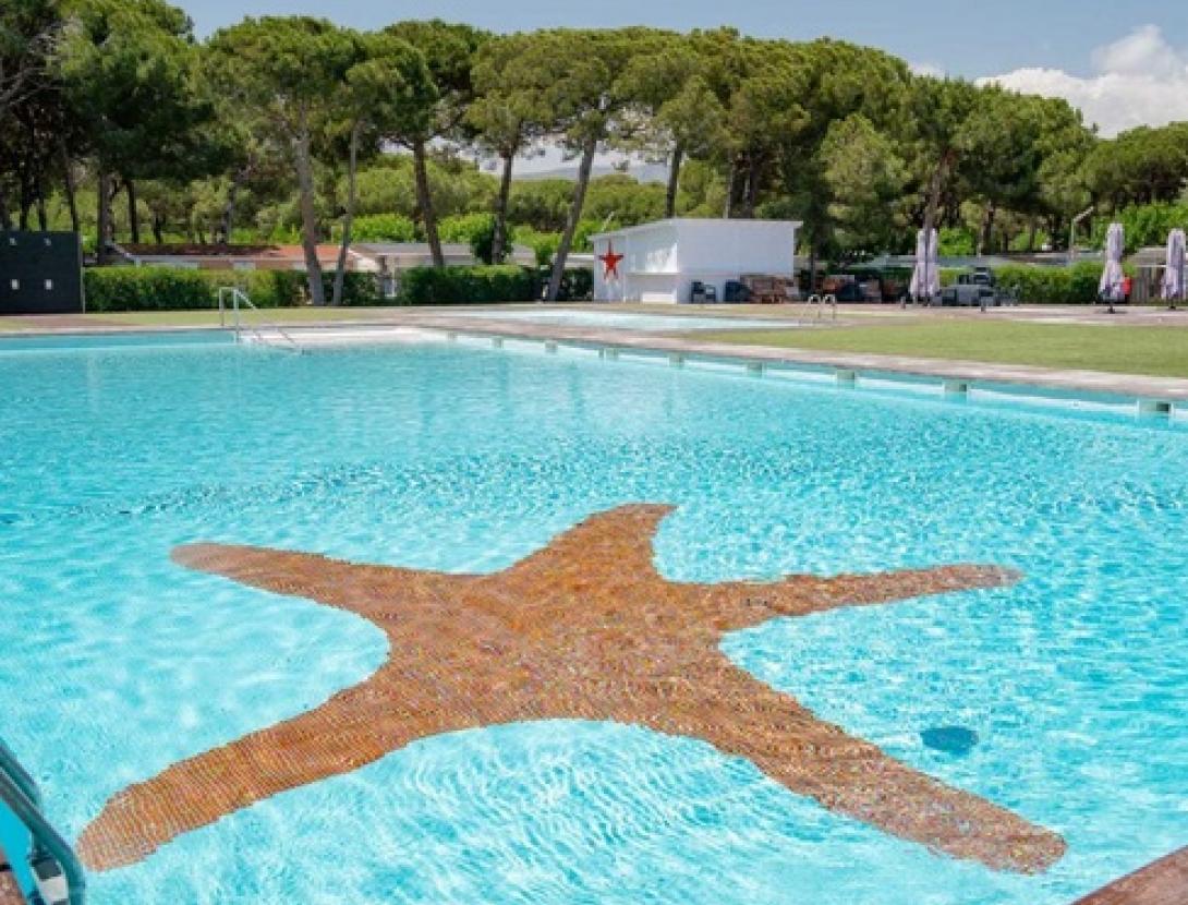 Estrella de Mar 2.jpg