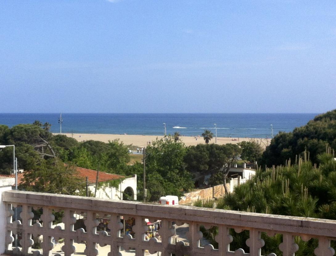 Fotos Tiburon 015.jpg