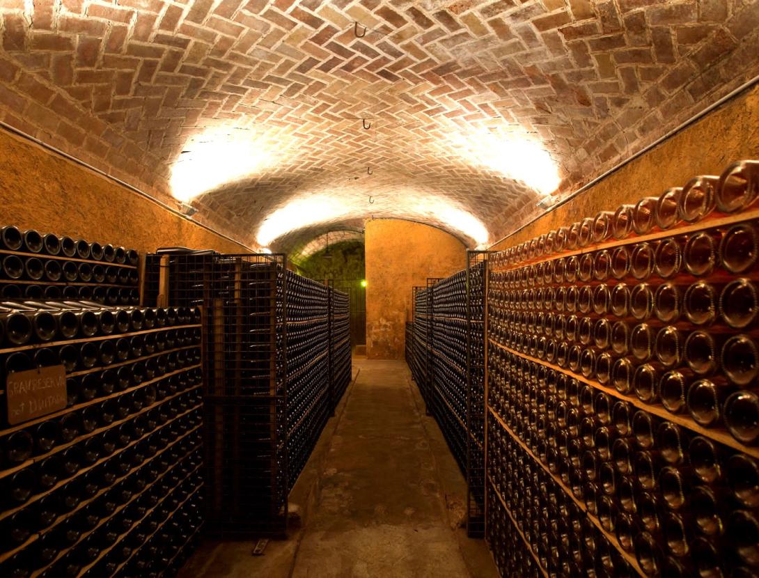 Cava Canals Canals i Museu del Cava Ramon Canals