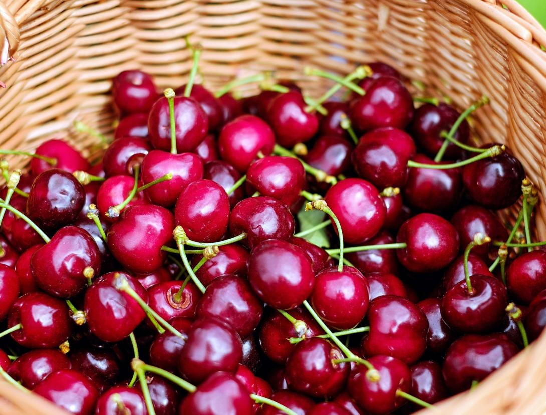 cherries-1453333_1920_free.jpg