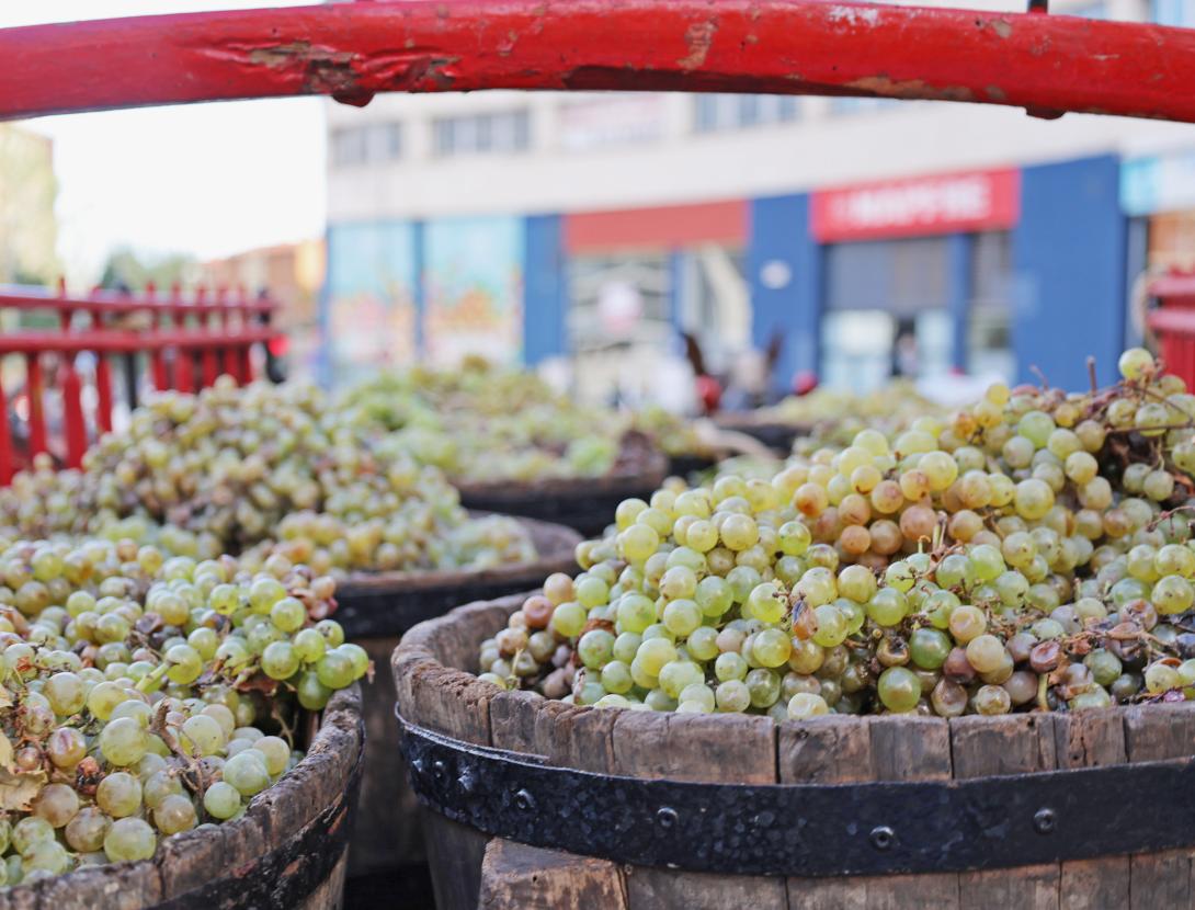 Festa del Roser a Martorell
