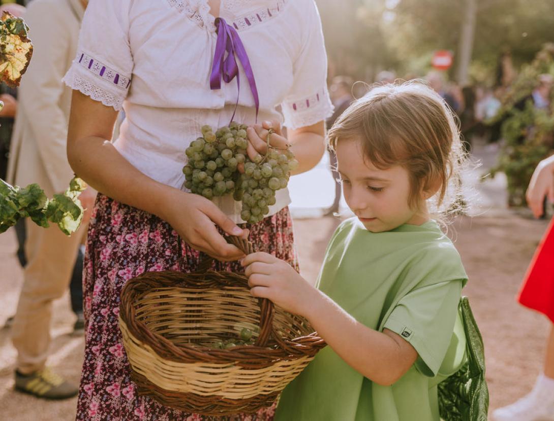 Festa del Roser a Martorell