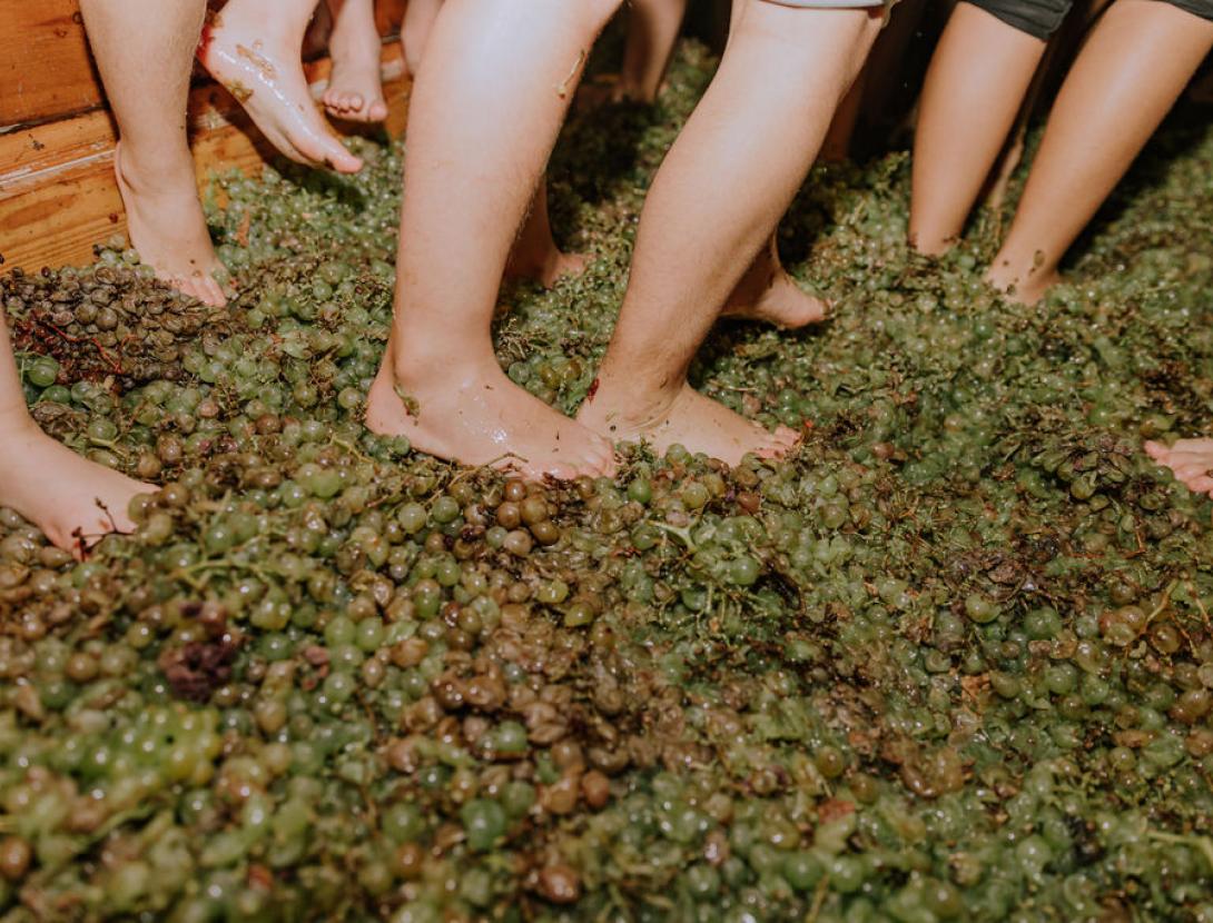 Festa del Roser a Martorell