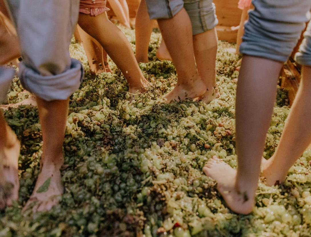 Festa del Roser a Martorell