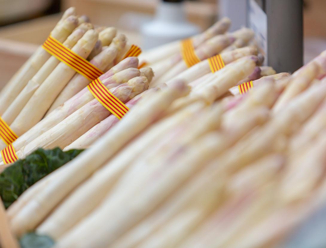 Fira Espàrrecs i GastroGavà