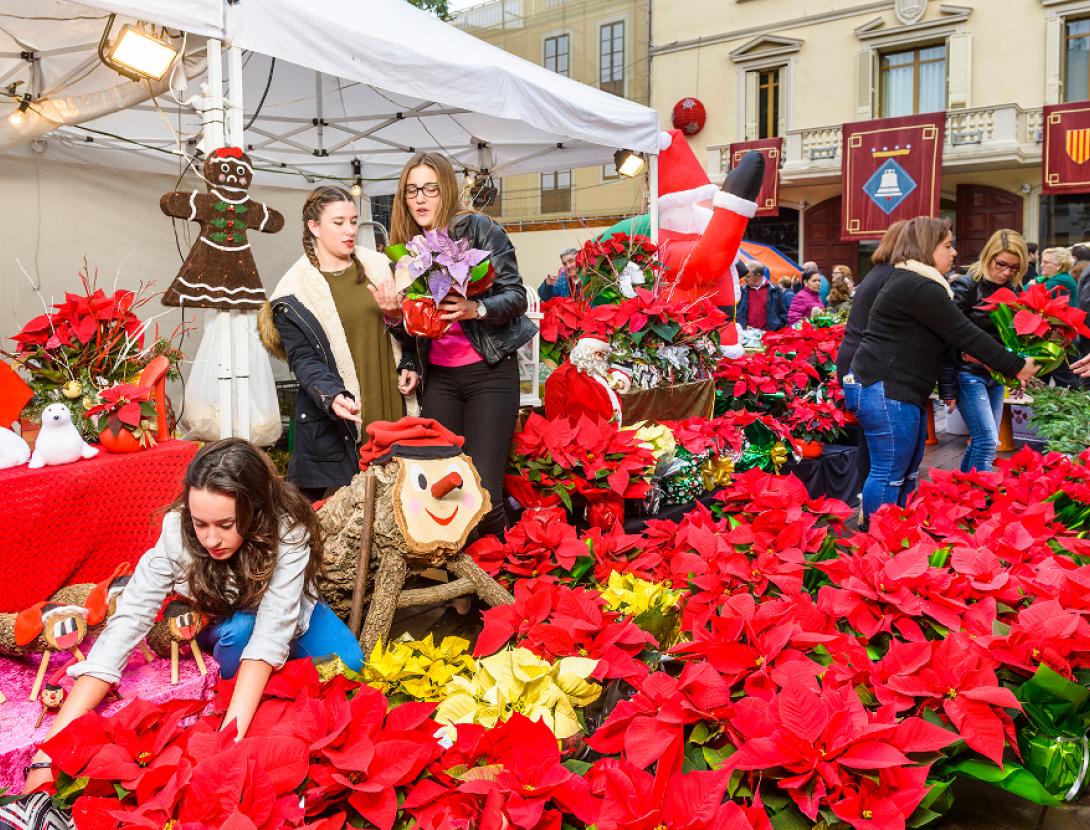 Fira de la Puríssima de Sant Boi