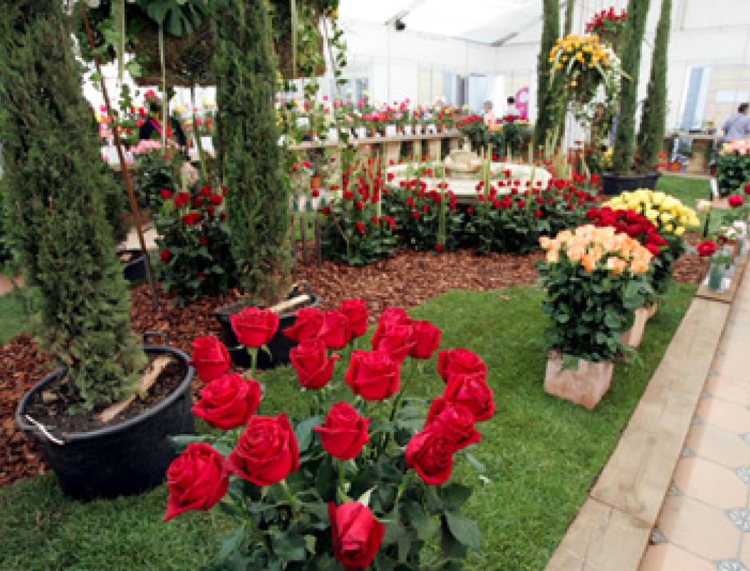 Exposició Nacional de Roses