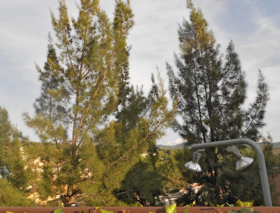 © Arxiu imatges AMB