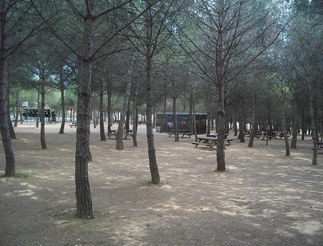 Parc Forestal de Can Cases