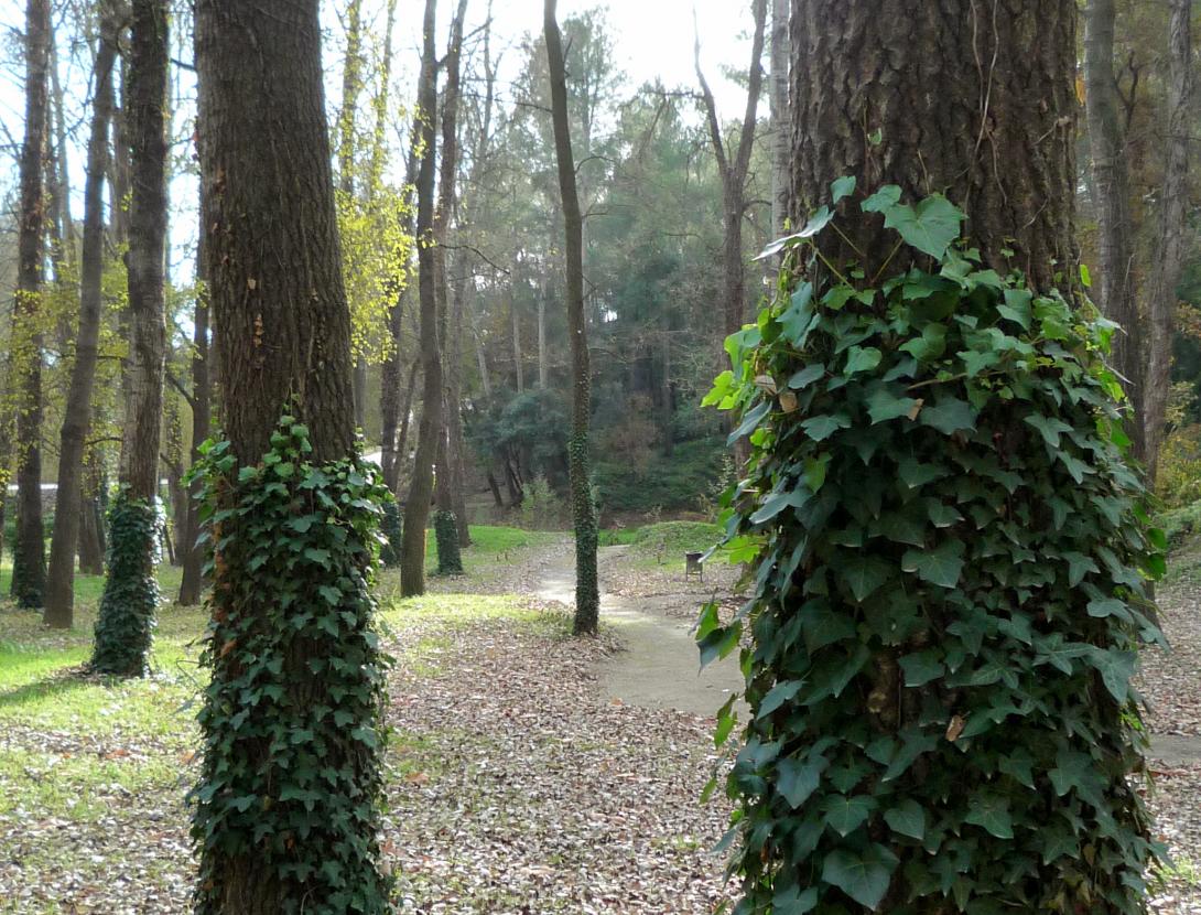Parc Canals i Nubiola. Espai per a esbarjo familiar