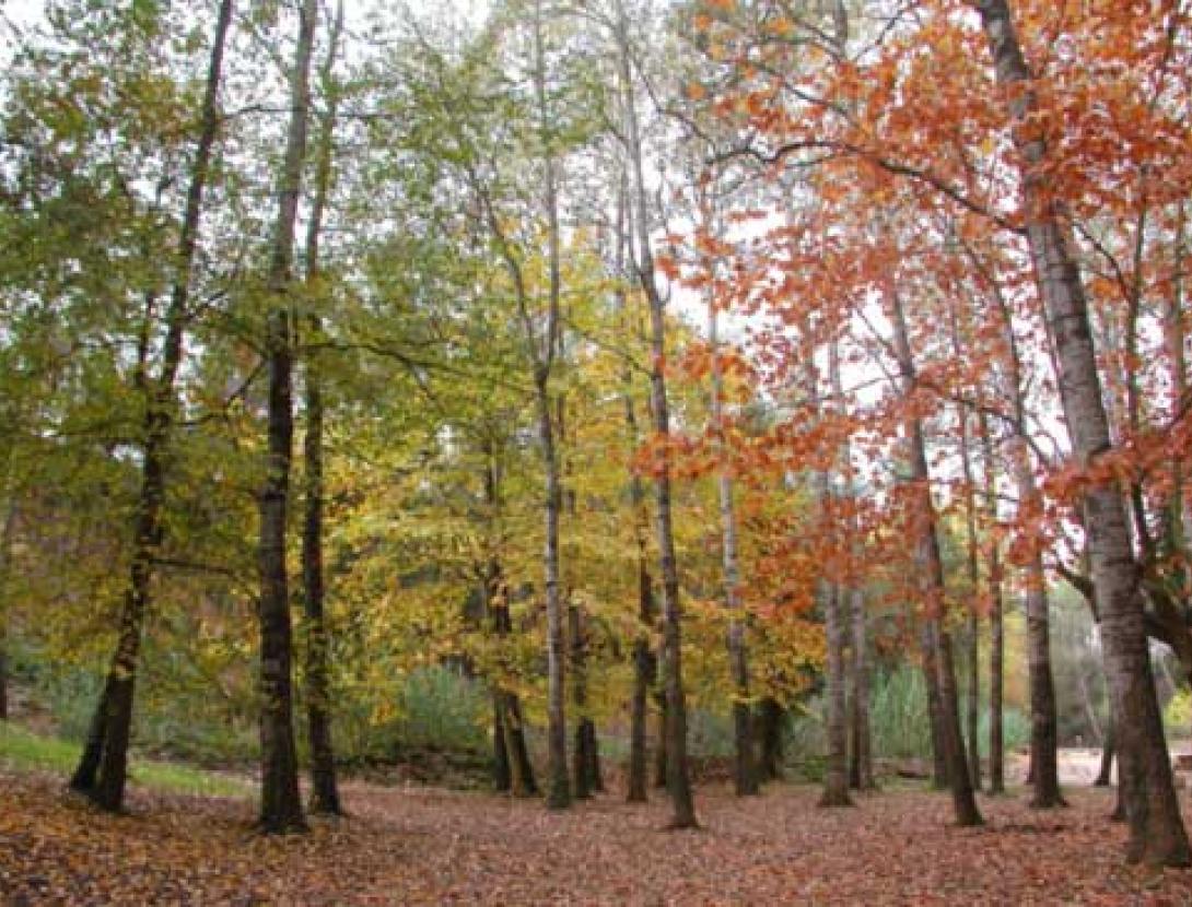 Parc Canals i Nubiola. Espai per a esbarjo familiar
