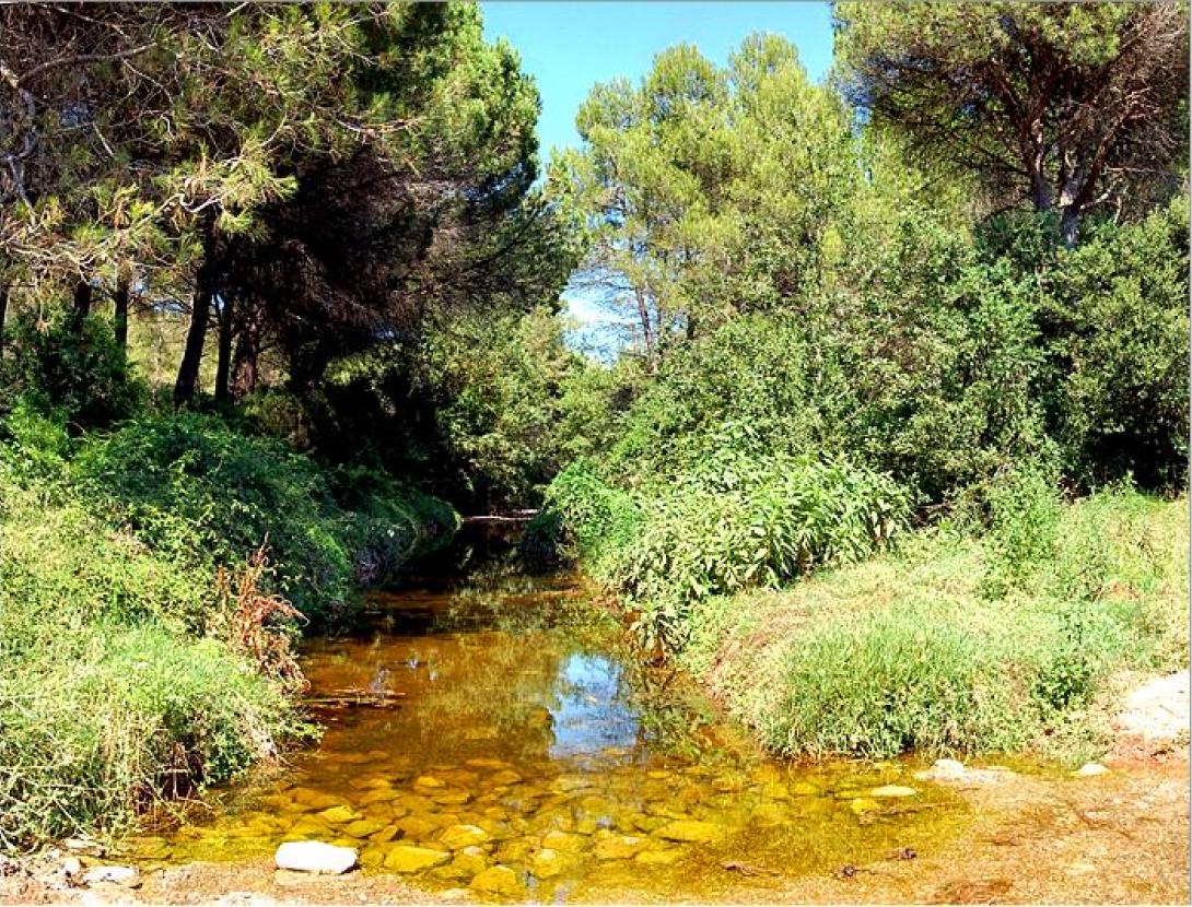Barbacoa de Begues Valparaíso