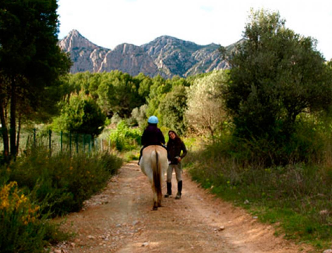 camins a cavall 1.jpg