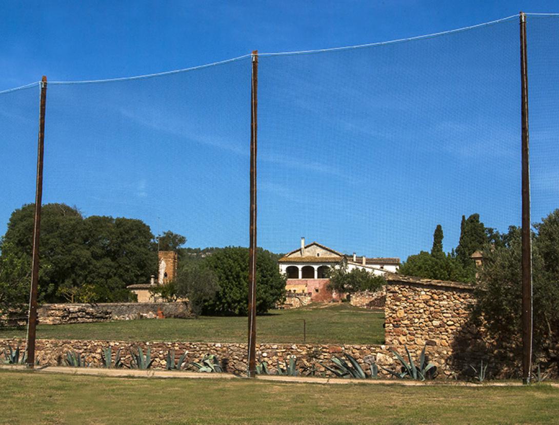 Pitch &amp; Putt2.jpg