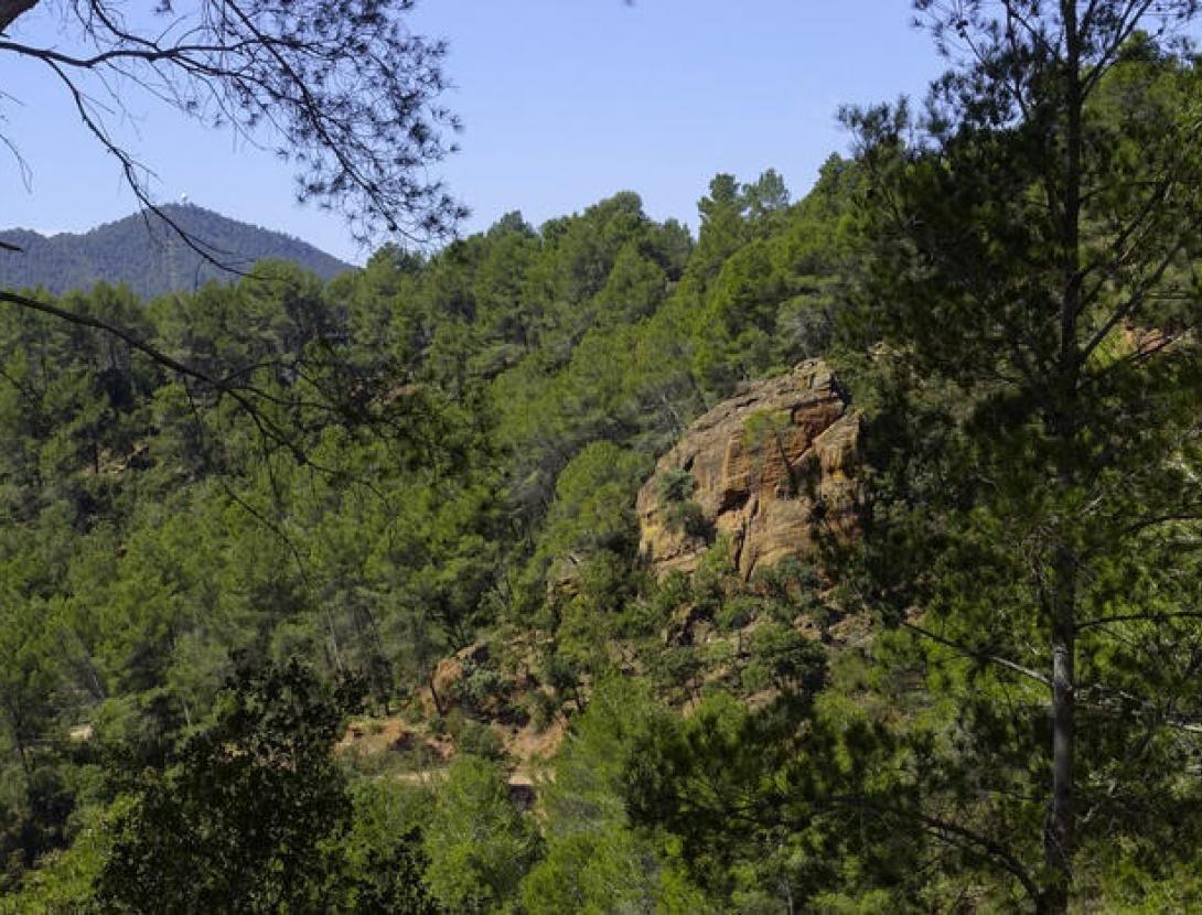 Muntanyes de l'Ordal