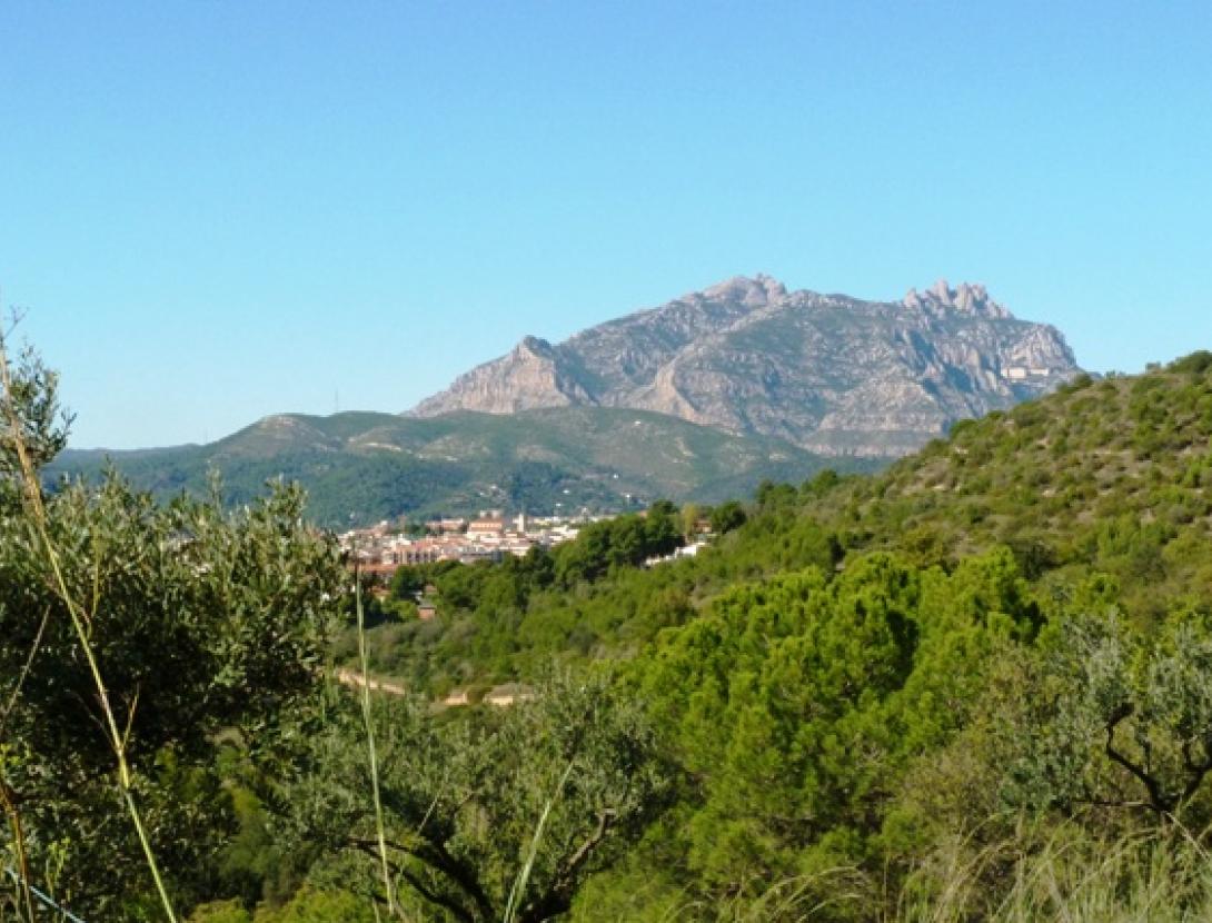 Ruta interpretativa per la natura amb menú pícnic