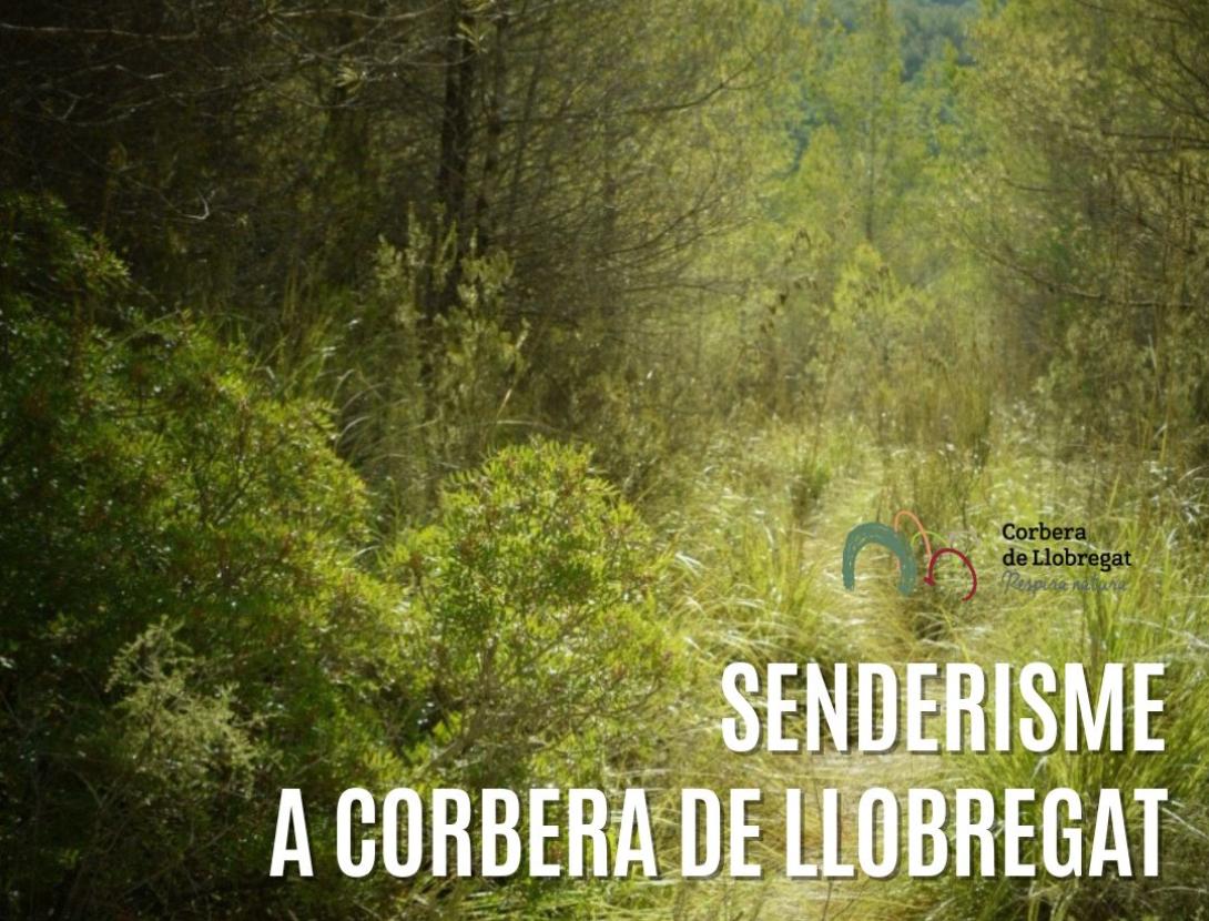 Ajuntament de Corbera de Llobregat
