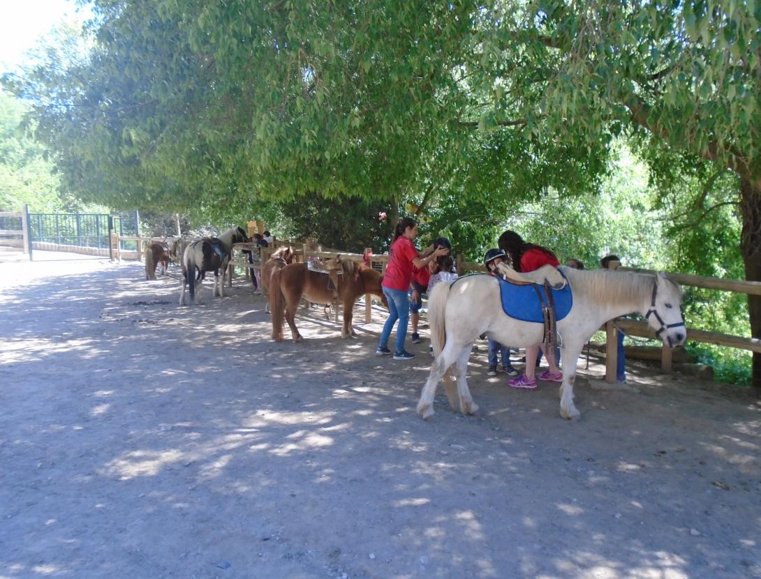 Visites escoles 006.jpg