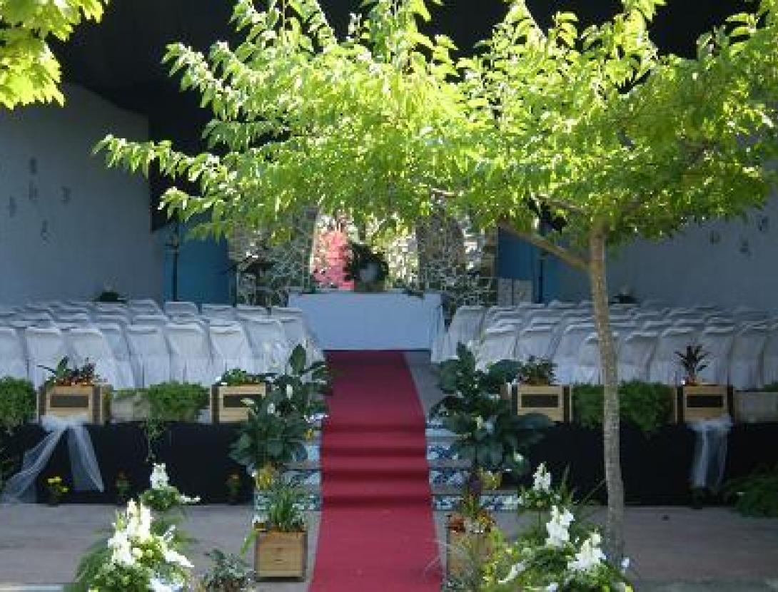 baja resolucion 1.jpg